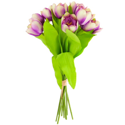 CV27020-10 Tulpenzwiebel mit gummibeschichtetem Stiel x 9 lila Köpfe