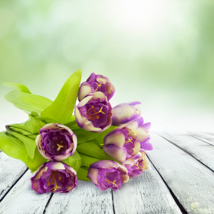 CV27020-10 Tulpenzwiebel mit gummibeschichtetem Stiel x 9 lila Köpfe