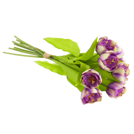 CV27020-10 Tulpenzwiebel mit gummibeschichtetem Stiel x 9 lila Köpfe