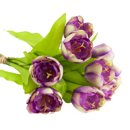 CV27020-10 Tulpenzwiebel mit gummibeschichtetem Stiel x 9 lila Köpfe