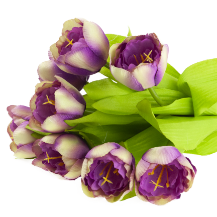 CV27020-10 Tulpenzwiebel mit gummibeschichtetem Stiel x 9 lila Köpfe