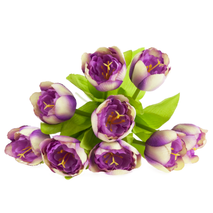 CV27020-10 Tulpenzwiebel mit gummibeschichtetem Stiel x 9 lila Köpfe