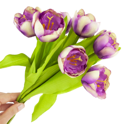 CV27020-10 Tulpenzwiebel mit gummibeschichtetem Stiel x 9 lila Köpfe