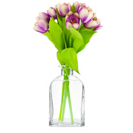 CV27020-10 Tulpenzwiebel mit gummibeschichtetem Stiel x 9 lila Köpfe