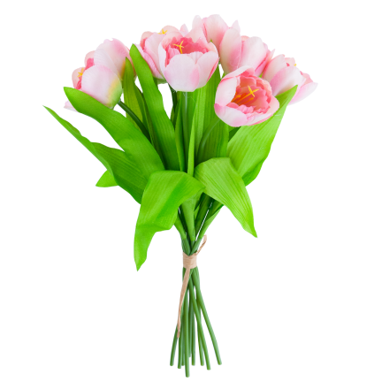 CV27020-5 TULIPAN BUNCH X9 rosa