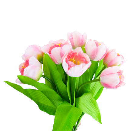 CV27020-5 TULIPAN BUNCH X9 rosa