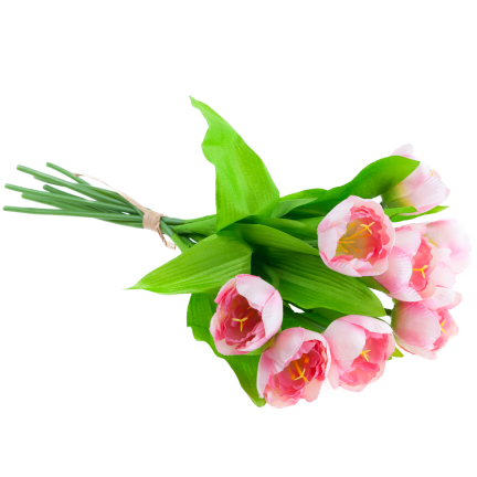 CV27020-5 TULIPAN BUNCH X9 rosa