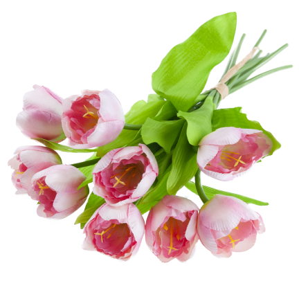 CV27020-5 TULIPAN BUNCH X9 rosa