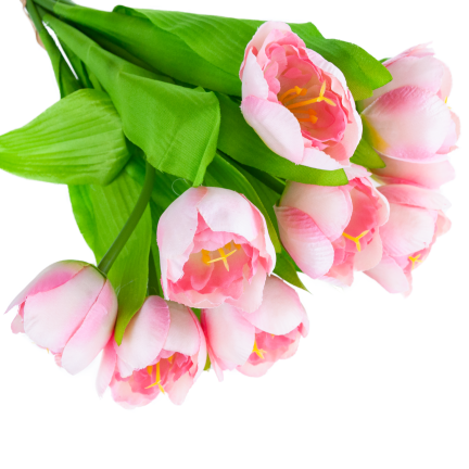 CV27020-5 TULIPAN BUNCH X9 rosa