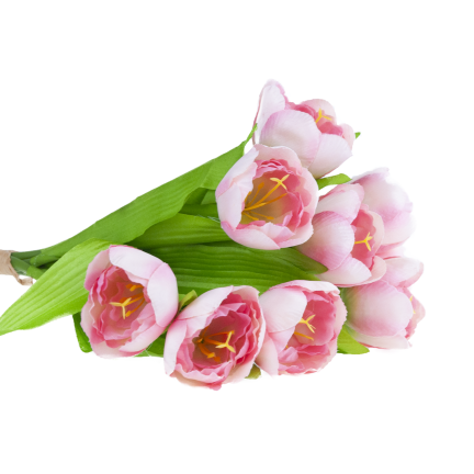 CV27020-5 TULIPAN BUNCH X9 rosa