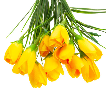 CV27023-4 KROKUS KÜNSTLICHE KROKUSSE STRAUSS 10 KROKUSSE IM GRAS ZUSAMMENSETZUNG FRÜHLING GELB