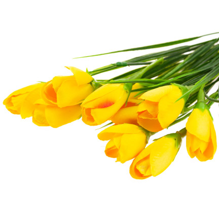 CV27023-4 KROKUS KÜNSTLICHE KROKUSSE STRAUSS 10 KROKUSSE IM GRAS ZUSAMMENSETZUNG FRÜHLING GELB