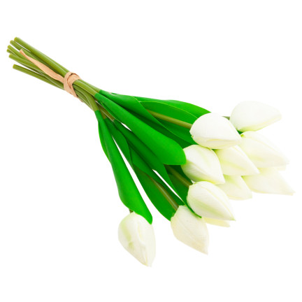 CV27025-1 KYTICE TULIPÁNŮ KRÁSNÁ JAKO ŽIVÉ KVĚTY TULIPÁNŮ BÍLÁ 12 KVĚTŮ