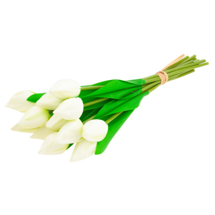 CV27025-1 KYTICE TULIPÁNŮ KRÁSNÁ JAKO ŽIVÉ KVĚTY TULIPÁNŮ BÍLÁ 12 KVĚTŮ