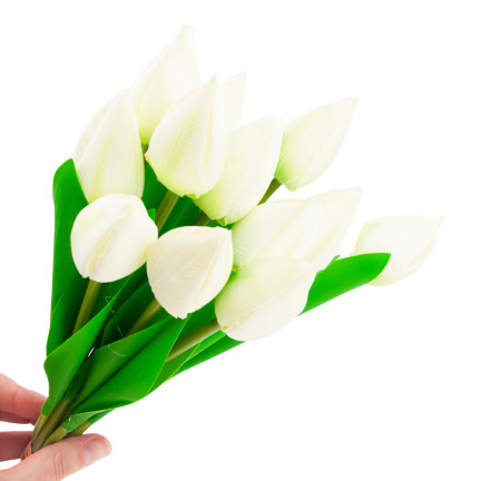 CV27025-1 KYTICE TULIPÁNŮ KRÁSNÁ JAKO ŽIVÉ KVĚTY TULIPÁNŮ BÍLÁ 12 KVĚTŮ