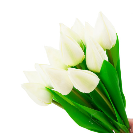 CV27025-1 KYTICE TULIPÁNŮ KRÁSNÁ JAKO ŽIVÉ KVĚTY TULIPÁNŮ BÍLÁ 12 KVĚTŮ