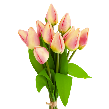 CV27025-2 TULPENSTRAUSS 12 GESCHLOSSENE ROSA KÖPFE