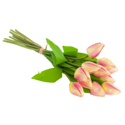 CV27025-2 TULPENSTRAUSS 12 GESCHLOSSENE ROSA KÖPFE