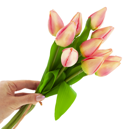 CV27025-2 TULPENSTRAUSS 12 GESCHLOSSENE ROSA KÖPFE