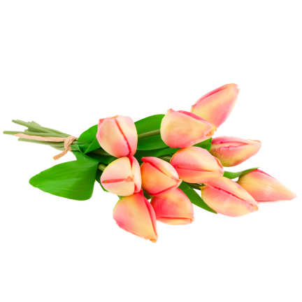 CV27025-2 TULPENSTRAUSS 12 GESCHLOSSENE ROSA KÖPFE