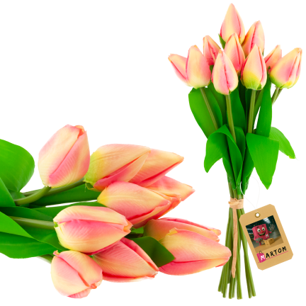 CV27025-2 TULPENSTRAUSS 12 GESCHLOSSENE ROSA KÖPFE