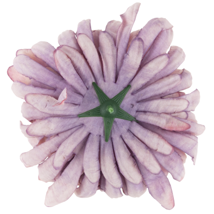 CV28499-11 CHRYSANTHEMUM GROSSEN KOPF DER WAHL PREMIUM-BLUMEN