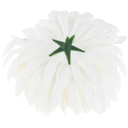 CV28499-1 CHRYSANTHEMUM GROSSEN KOPF DER WAHL PREMIUM-BLUMEN