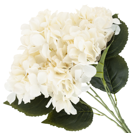 CV28571-2 HORTENZIE HUSTÁ KYTICE 5 KVĚTŮ HORTENZIE 50 CM PRO RÁKOSOVOU VÁZU