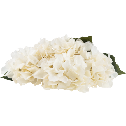 CV28571-2 HORTENZIE HUSTÁ KYTICE 5 KVĚTŮ HORTENZIE 50 CM PRO RÁKOSOVOU VÁZU