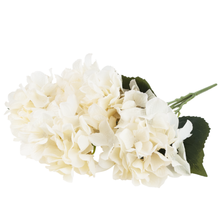 CV28571-2 HORTENZIE HUSTÁ KYTICE 5 KVĚTŮ HORTENZIE 50 CM PRO RÁKOSOVOU VÁZU