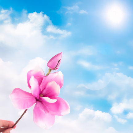 CV28596-3 MAGNOLIA GAŁĄZKA X2 ROZ