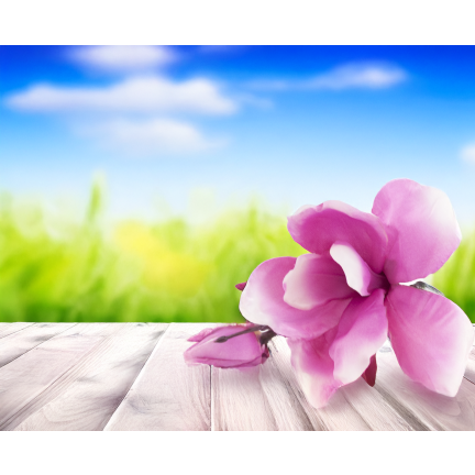 CV28596-3 MAGNOLIA GAŁĄZKA X2 ROZ