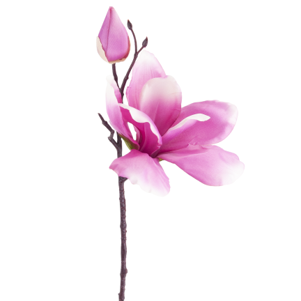 CV28596-3 MAGNOLIA GAŁĄZKA X2 ROZ