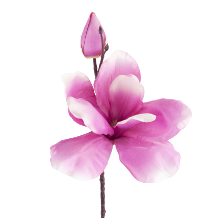 CV28596-3 MAGNOLIA GAŁĄZKA X2 ROZ