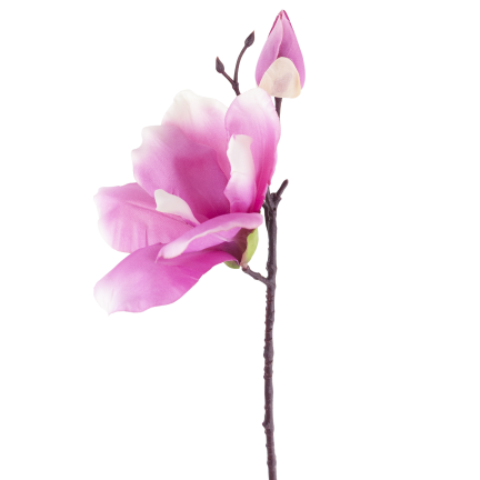 CV28596-3 MAGNOLIA GAŁĄZKA X2 ROZ