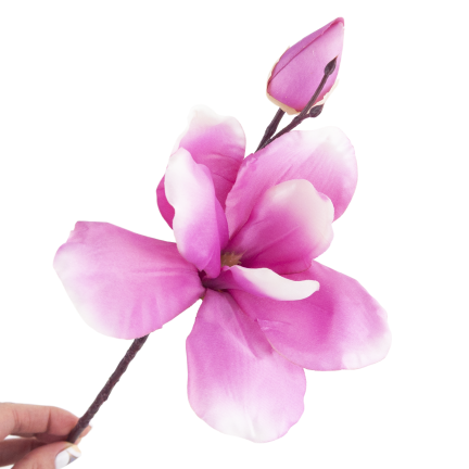 CV28596-3 MAGNOLIA GAŁĄZKA X2 ROZ