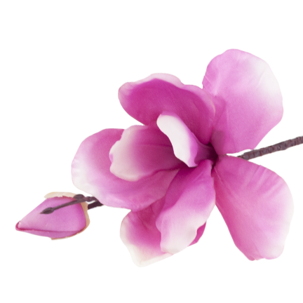 CV28596-3 MAGNOLIA GAŁĄZKA X2 ROZ