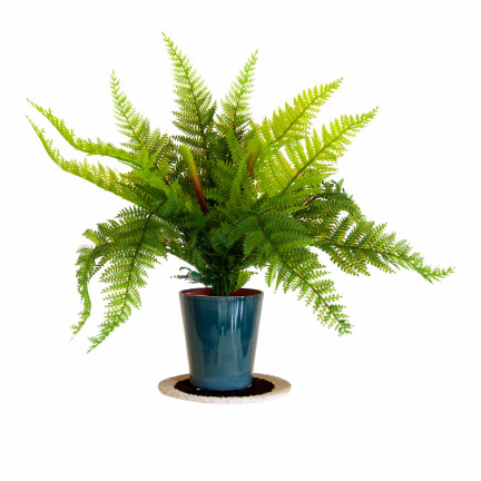 CV28657 KAPRADÍ KYTICE KAPRADÍ UMĚLÁ VĚTEV JAKO ŽIVÁ PRO KOMPOZICI