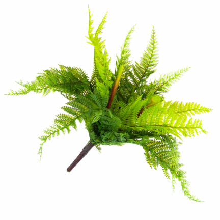 CV28657 KAPRADÍ KYTICE KAPRADÍ UMĚLÁ VĚTEV JAKO ŽIVÁ PRO KOMPOZICI