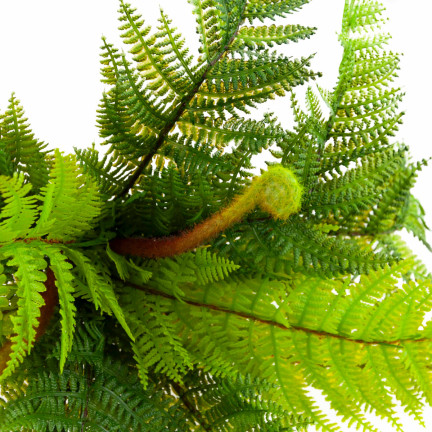 CV28657 KAPRADÍ KYTICE KAPRADÍ UMĚLÁ VĚTEV JAKO ŽIVÁ PRO KOMPOZICI