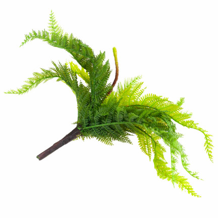 CV28657 KAPRADÍ KYTICE KAPRADÍ UMĚLÁ VĚTEV JAKO ŽIVÁ PRO KOMPOZICI