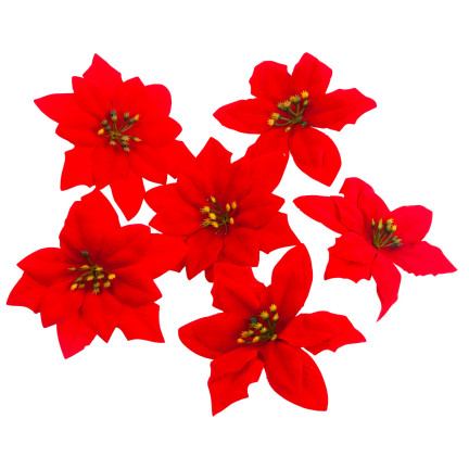 CV28918 STERN VON BETLEHEM WEIHNACHTEN BLUMEN GROSSE BLUMEN WEIHNACHTSSTERN 6PCS/KPL