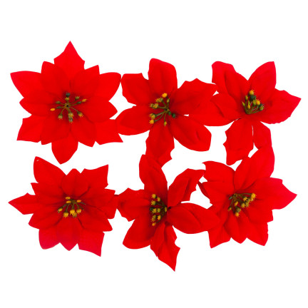 CV28918 STERN VON BETLEHEM WEIHNACHTEN BLUMEN GROSSE BLUMEN WEIHNACHTSSTERN 6PCS/KPL