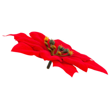 CV28918 STERN VON BETLEHEM WEIHNACHTEN BLUMEN GROSSE BLUMEN WEIHNACHTSSTERN 6PCS/KPL