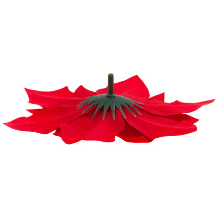 CV28918 STERN VON BETLEHEM WEIHNACHTEN BLUMEN GROSSE BLUMEN WEIHNACHTSSTERN 6PCS/KPL