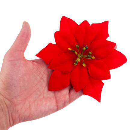 CV28918 STERN VON BETLEHEM WEIHNACHTEN BLUMEN GROSSE BLUMEN WEIHNACHTSSTERN 6PCS/KPL