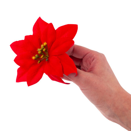 CV28918 STERN VON BETLEHEM WEIHNACHTEN BLUMEN GROSSE BLUMEN WEIHNACHTSSTERN 6PCS/KPL