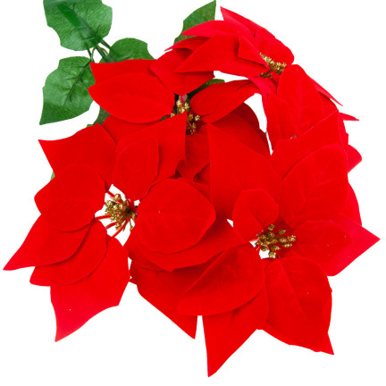CV28920 BETLEY STAR POINSECTION FLOWER BUNCH LARGE ARTIFICIAL FLOWERS 5pcs