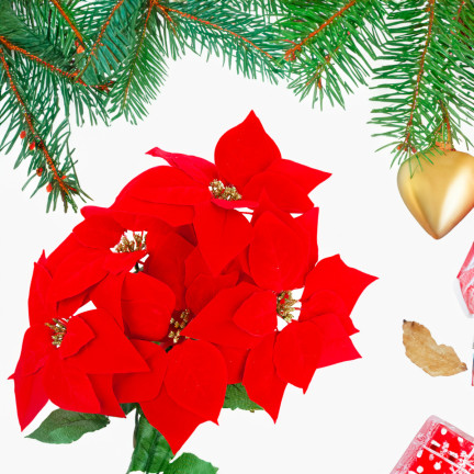 CV28920 BETLEY STAR POINSECTION FLOWER BUNCH LARGE ARTIFICIAL FLOWERS 5pcs