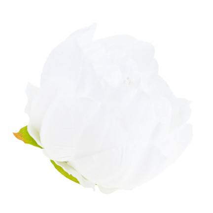 CV31160-1 PFINGSTROSE PRODUKT PFINGSTROSE BLUME KOPF FÜR SCHILF STRÄUSSE